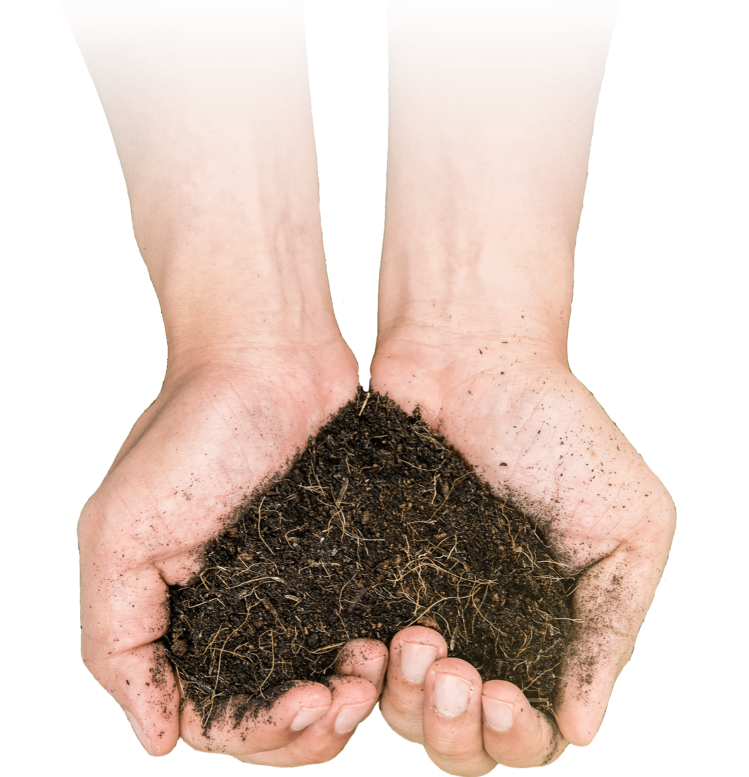 Healthy Soil Service Piedmont NC